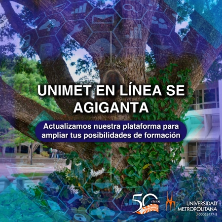 Unimet en línea