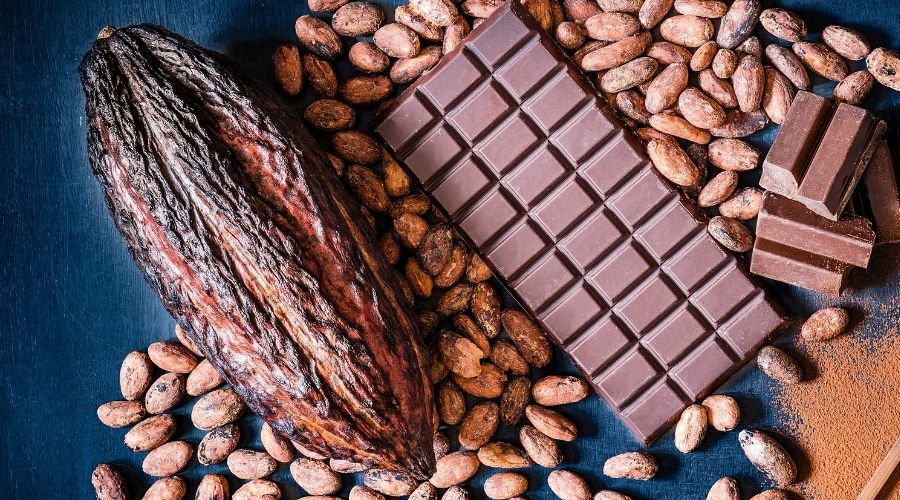 Bean-to-Bar-de-Cacao-_-Funindes