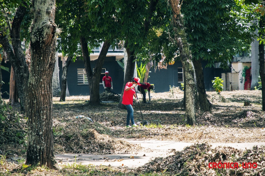 Primera fase de restauración de la UCV