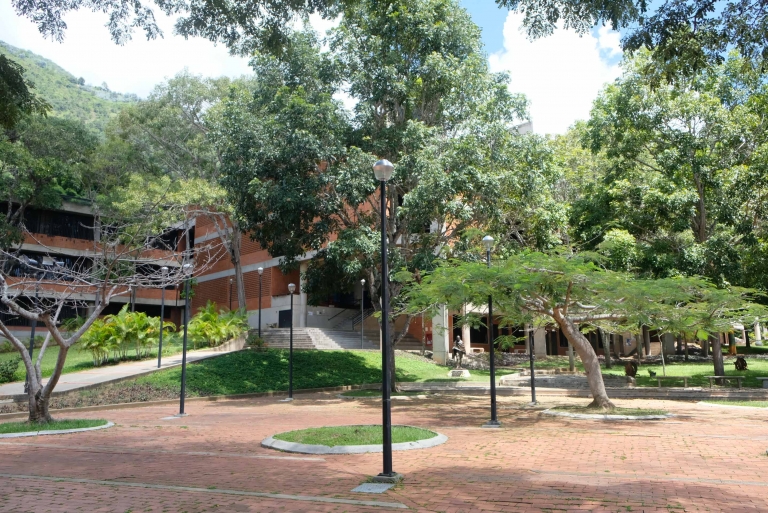 Comisión de Sustentabilidad