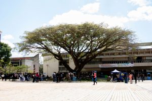 FERIA-DE-EMPRENDEDORES-Y-AGRUPACIONES-36-1030x687