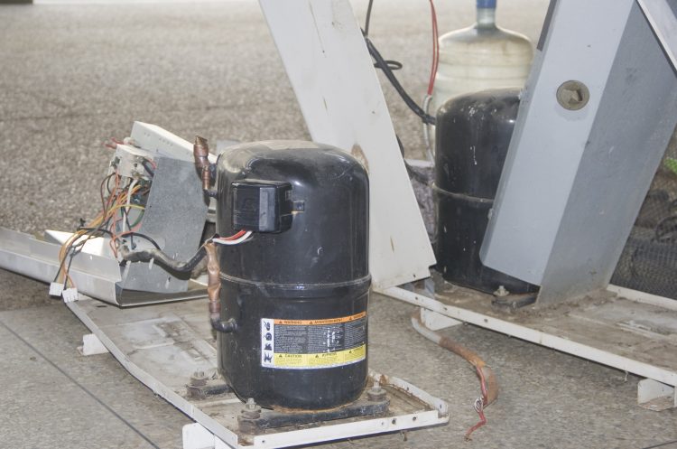 Foto1_Robo_Nurr-750x497