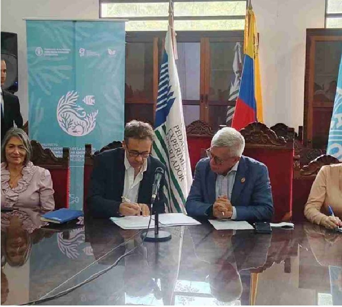 Sin título 2