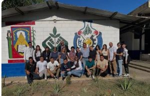 UCLA proyectos